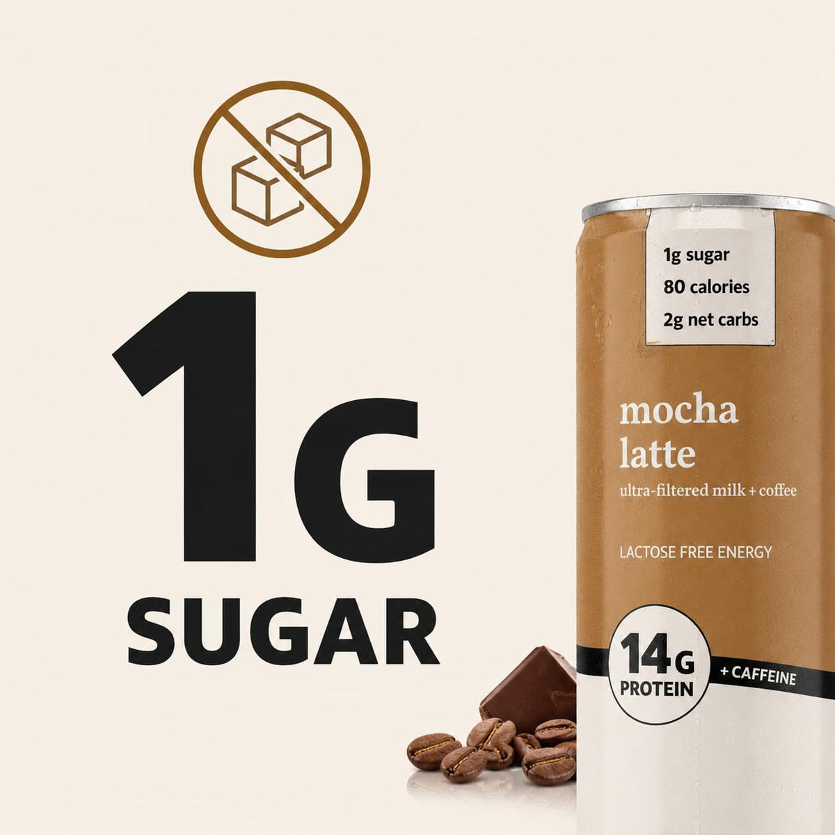 Protein Iced Coffee Mocha Latte, 14g Protein Drink, Lactose Free, 16 Pack