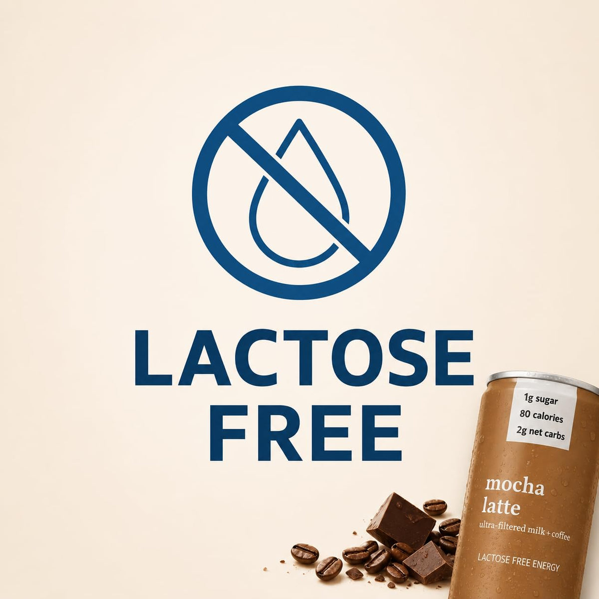 Protein Iced Coffee Mocha Latte, 14g Protein Drink, Lactose Free, 16 Pack